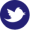 Twitter_sml